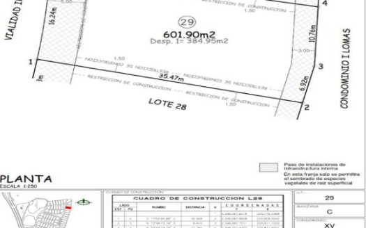 Terreno en venta – El Molino