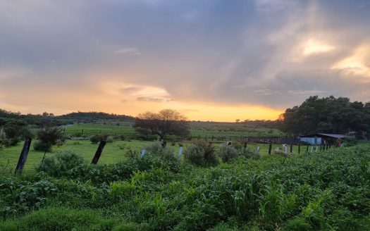 Terreno Carretera Leon – Lagos