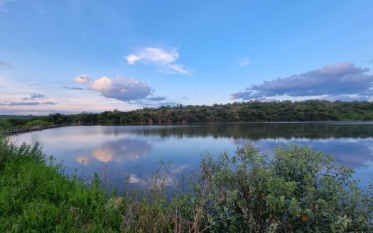 Terreno Carretera Leon – Lagos