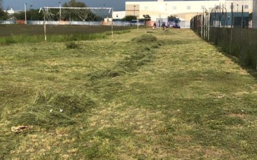 Terreno en renta – Puerto Interior