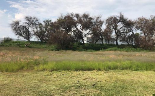 Terreno en renta – Puerto Interior